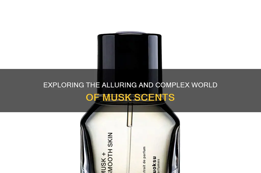 what is a musk scent