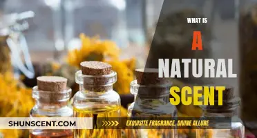 Unveiling the Essence: What Constitutes a Natural Scent?