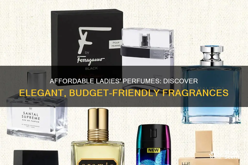 what is a nice perfume for ladies and not expensive