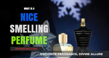 Scentsational Perfumes: Discover the Best Fragrances
