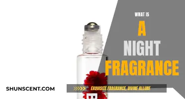 The Alluring World of Night Fragrances: Scents for the Evening