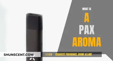 The Magic of Pax Aroma: Enhancing Your Space