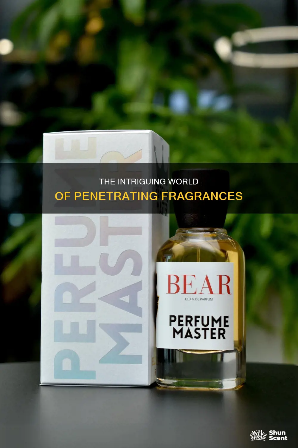 what is a penetrating fragrance