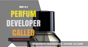 Unveiling the Role: What is a Perfume Developer Called?