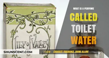 Unveiling the Mystery: What is a Perfume Called Toilet Water?