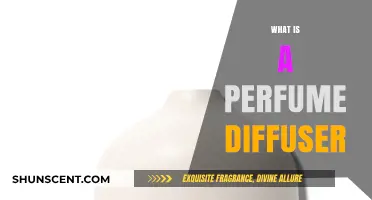 Explore the Fragrance: Perfume Diffusers