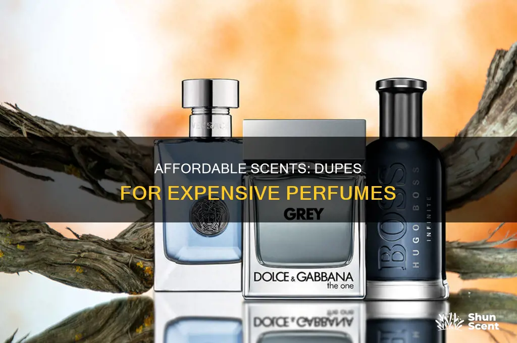 what is a perfume dupe