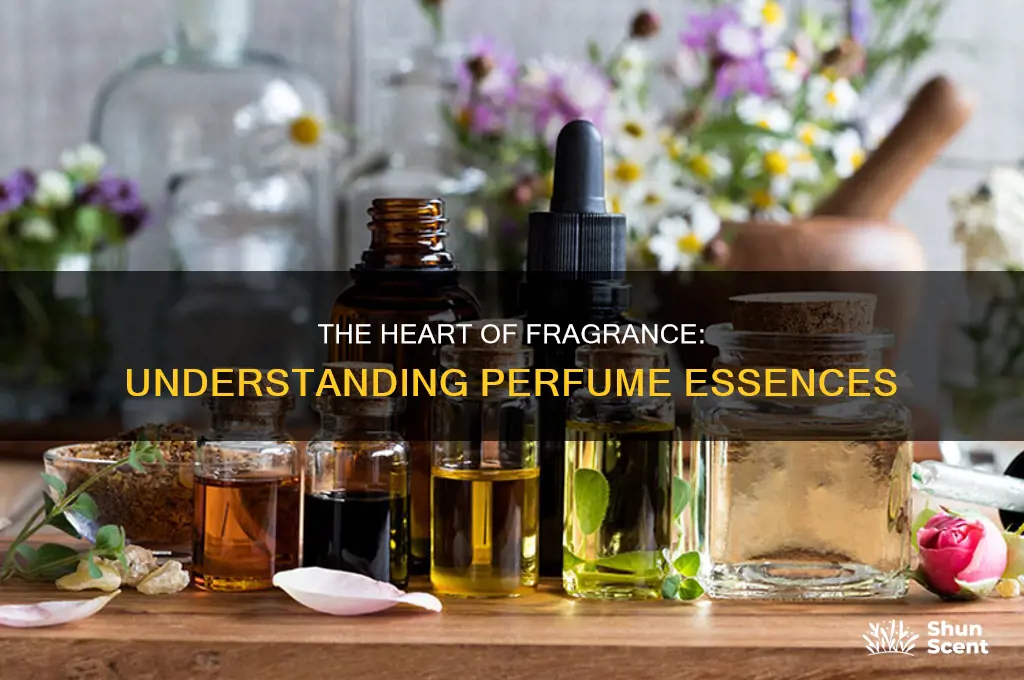 what is a perfume essence
