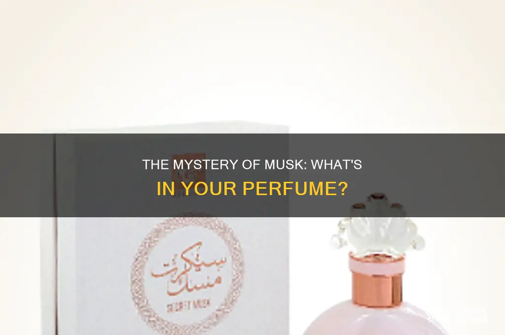 what is a perfume musk