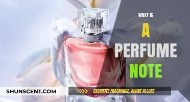 The Art of Perfume Notes: Understanding the Layers