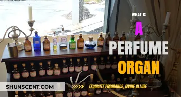 Explore the Art of Perfumery with a Perfume Organ