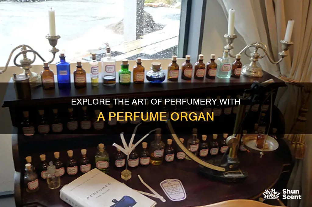 what is a perfume organ