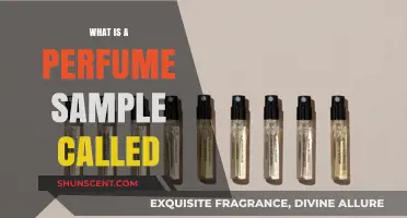 Explore the World of Perfume Via Samples