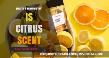 Citrus Scents: Fresh Fragrances for Summer