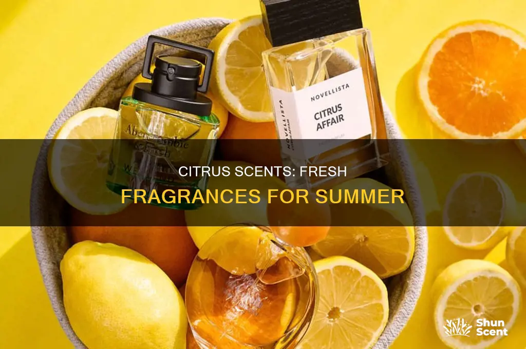 what is a perfume that is citrus scent