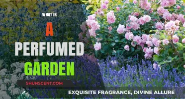 The Fragrant, Perfumed Garden: A Guide to Scents