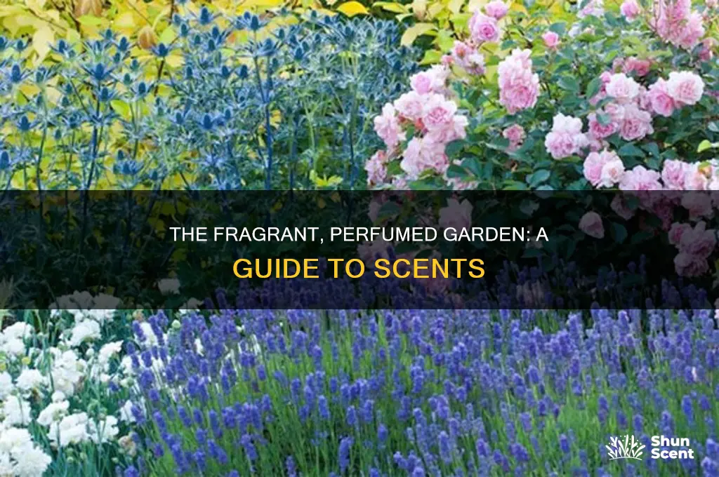 what is a perfumed garden