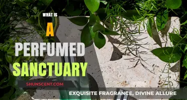The Fragrance of a Perfumed Sanctuary