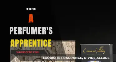 The Apprentice's Journey: Creating Scents with Masters