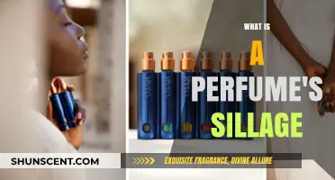Understanding Sillage: The Trail of a Perfume