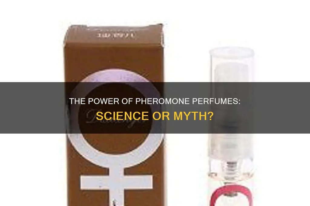what is a pheremone perfume