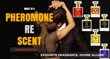 Unlocking the Secrets of Attraction: What is a Pheromone Scent?