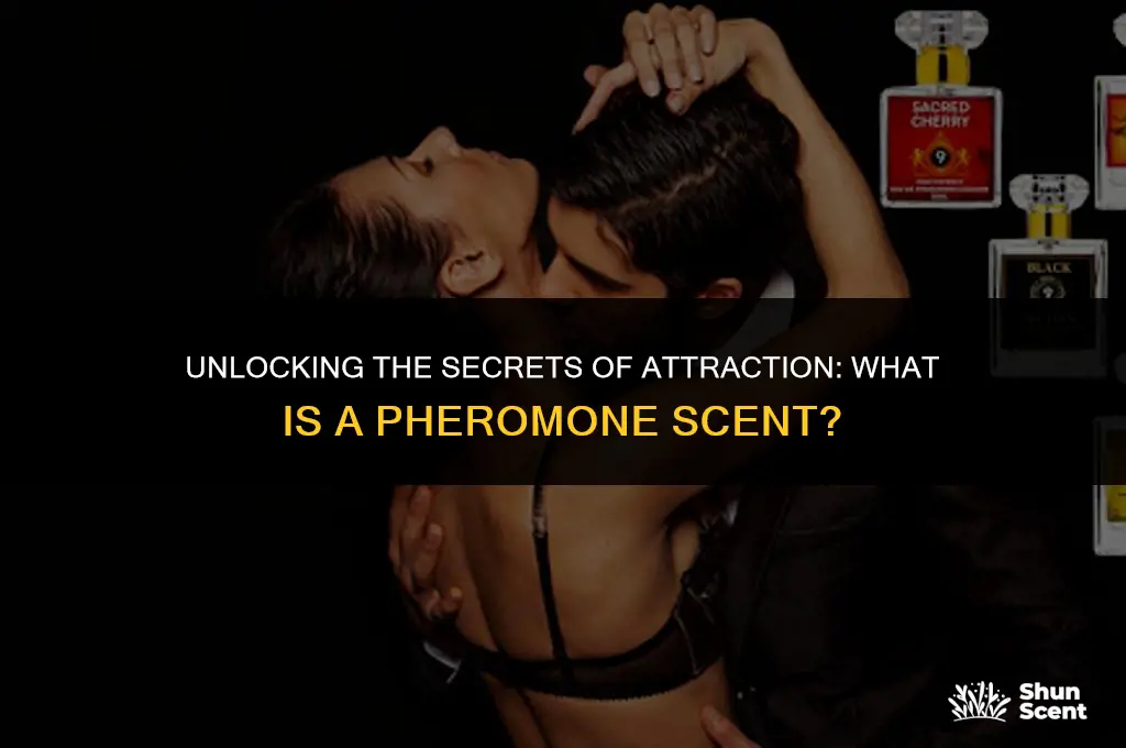 what is a pheromone re scent