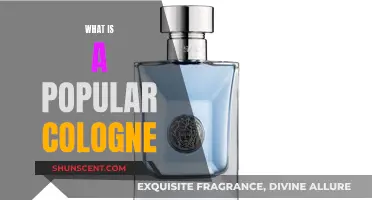 The Most Popular Colognes for Men: What's the Buzz?