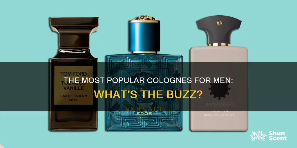 what is a popular cologne