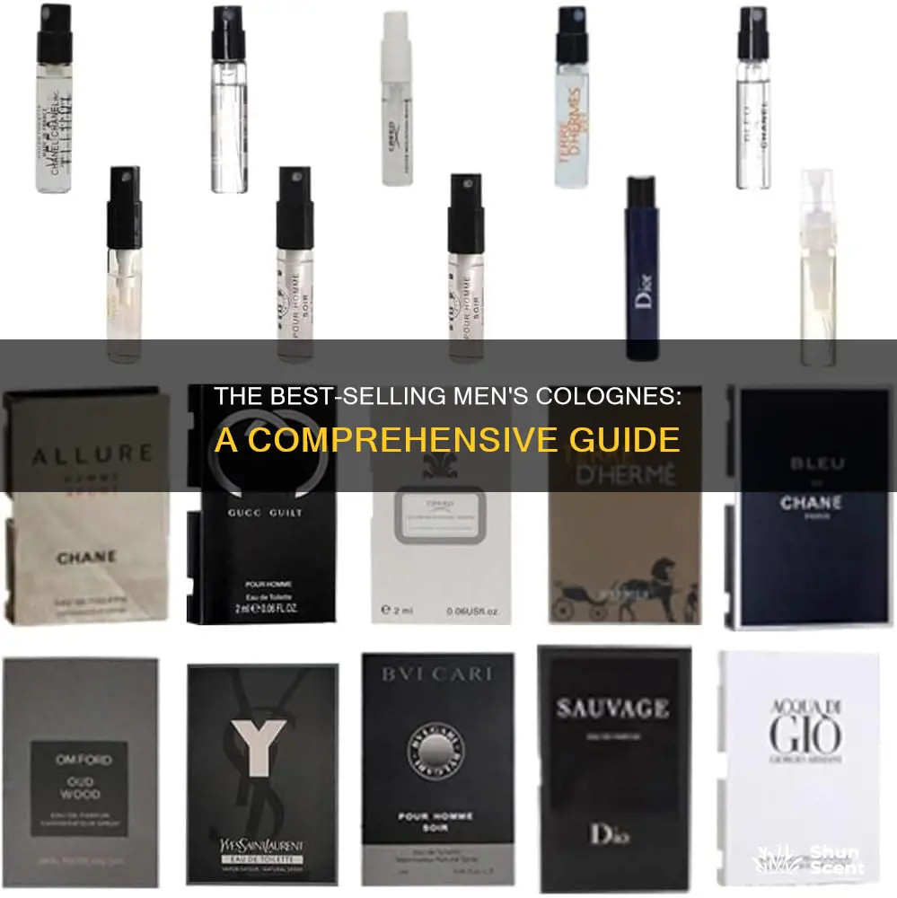 what is a popular mens cologne