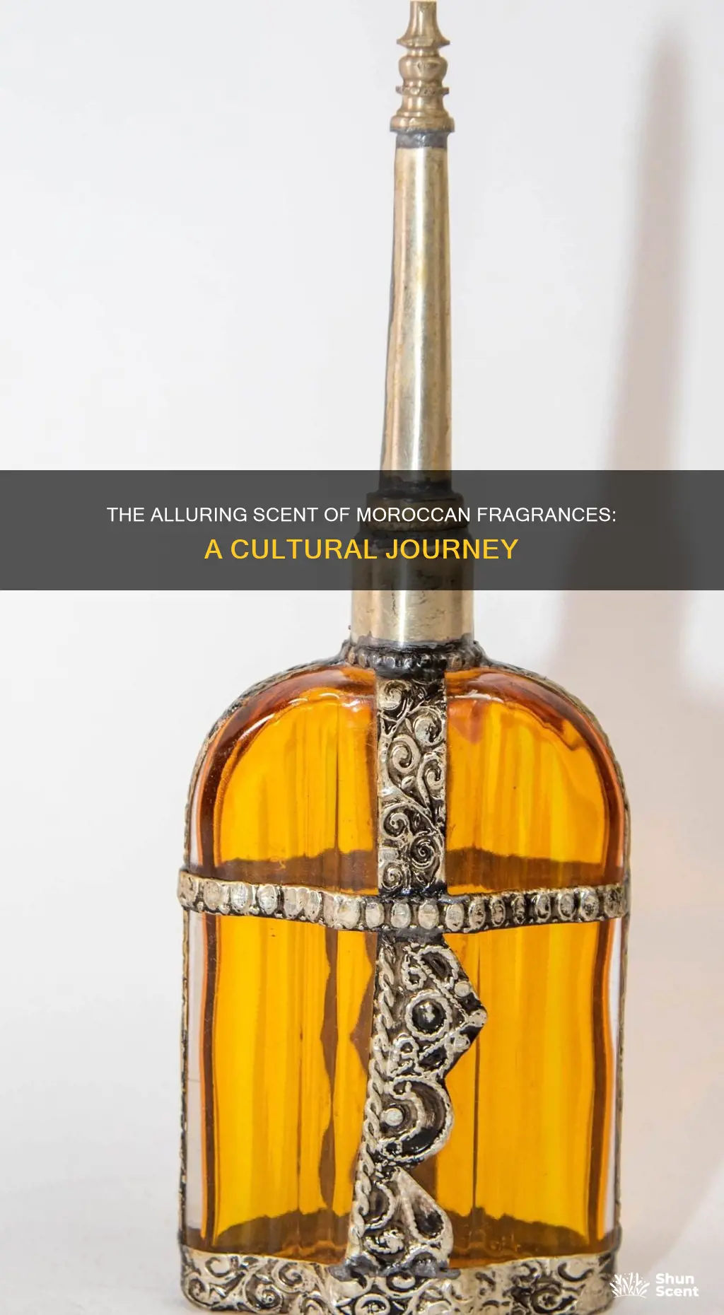 what is a popular moroccan fragrance