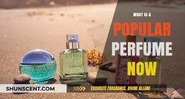 Latest Fragrances: What's Trending Now