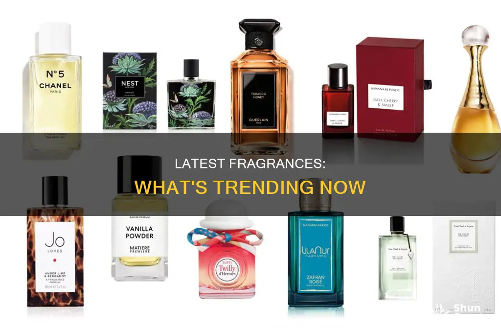 what is a popular perfume now