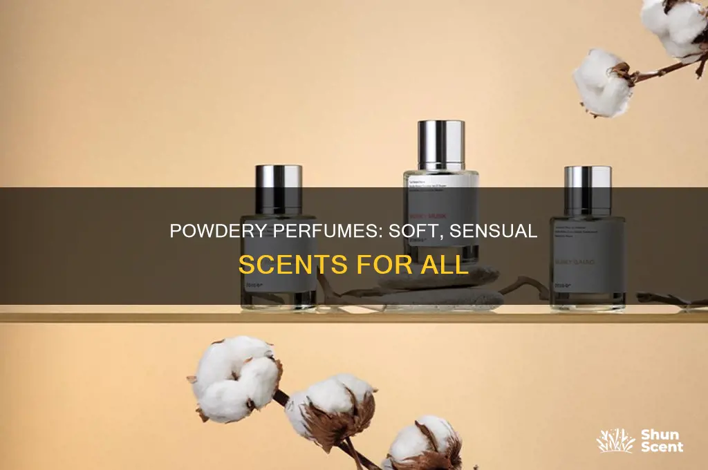 what is a powdery perfume