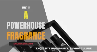 Powerhouse Fragrances: Unforgettable, Bold, and Long-lasting Scents