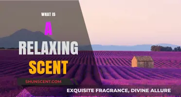 Unwind with Serenity: Exploring the Most Relaxing Scents