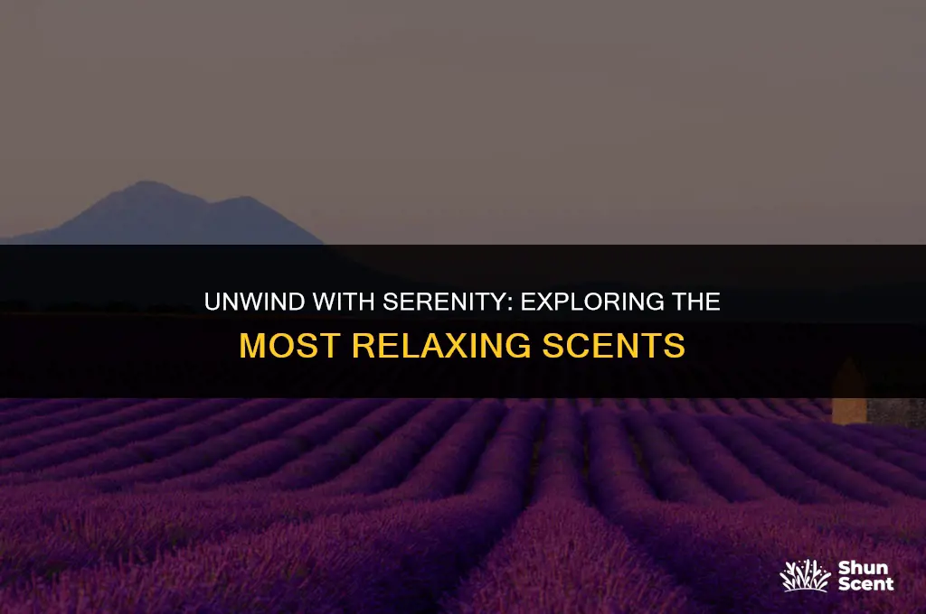 what is a relaxing scent