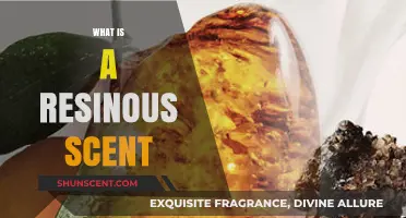 Unveiling the Mysteries of Resinous Scents: A Fragrant Journey