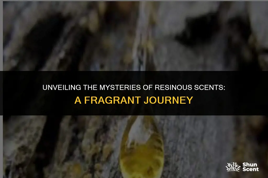 what is a resinous scent