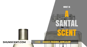Unveiling the Enchanting Essence of Santal: A Fragrant Journey