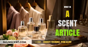 Exploring the Essence: What Makes a Scent Article Captivating?
