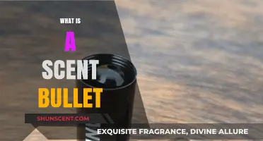 Exploring Scent Bullets: The Future of Fragrance Technology