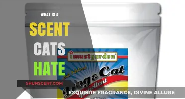 Discover the Secret: Scents That Instantly Repel Cats