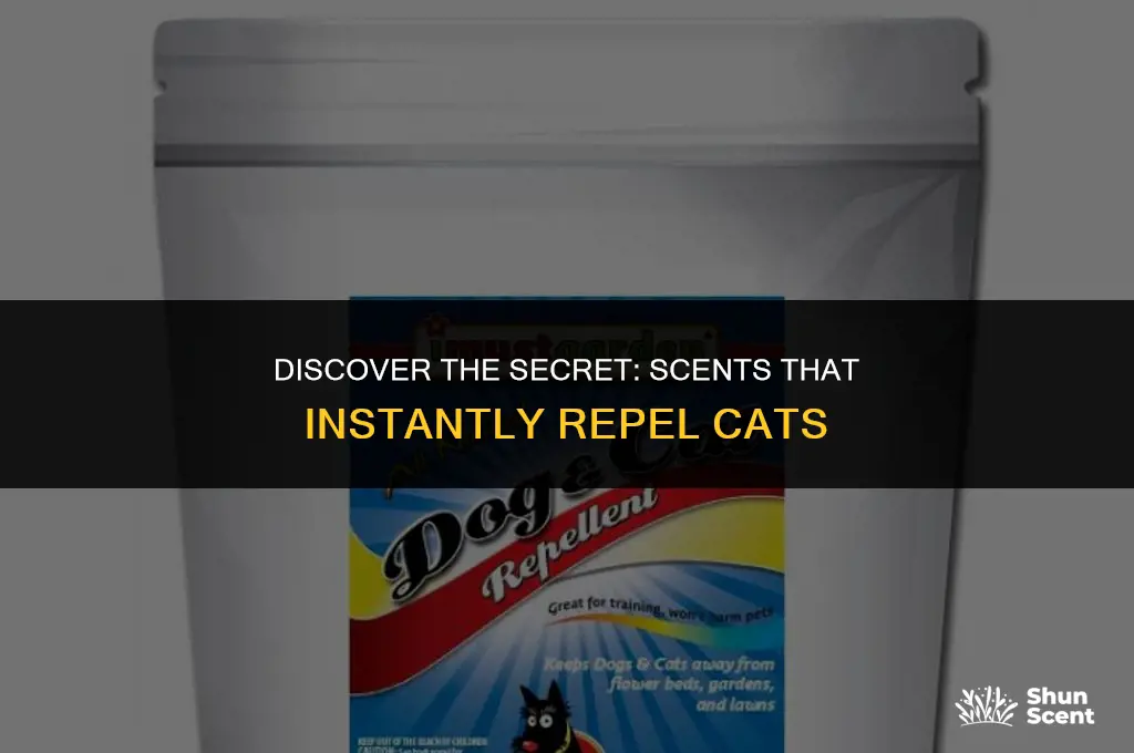 what is a scent cats hate