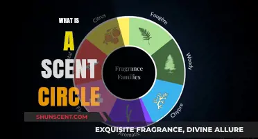 Exploring the Enigmatic World of Scent Circles: A Fragrant Journey