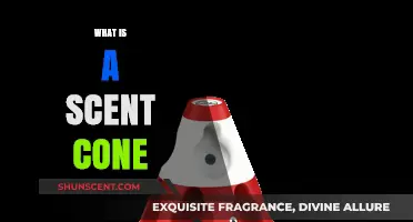 Exploring the Aromatic World: What Is a Scent Cone?