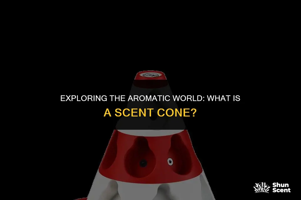 what is a scent cone