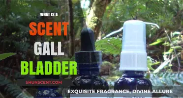 Exploring the Mysteries of the Scent Gall Bladder: A Comprehensive Guide