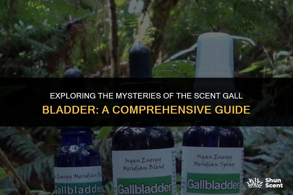 what is a scent gall bladder