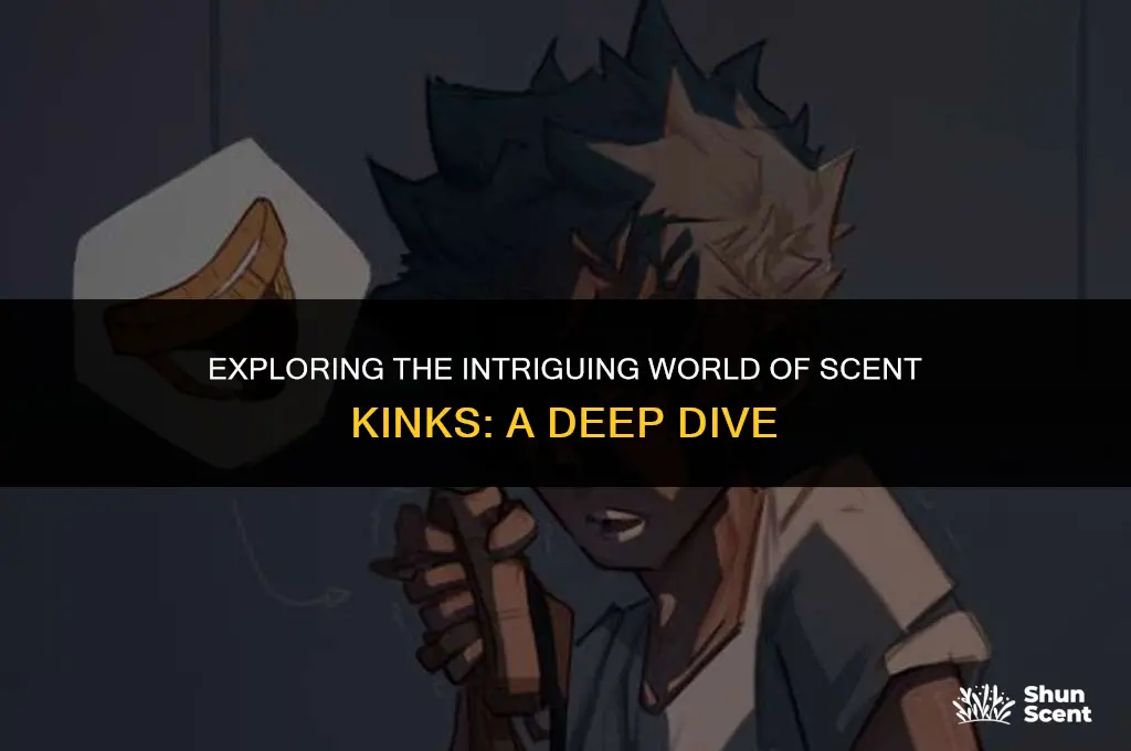 what is a scent kink